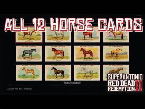 breeds of horses cards rdr2|Horses Card Set .